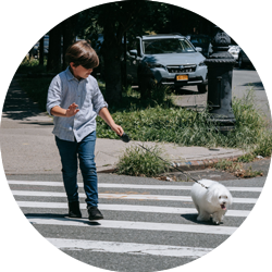 niño cruzando la calle con un perro