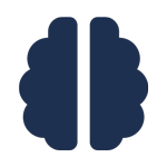cerebro